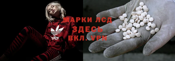 ешки Аркадак