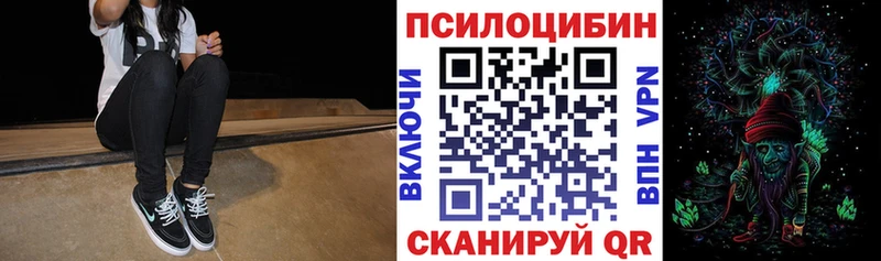 Псилоцибиновые грибы мицелий  Камешково 